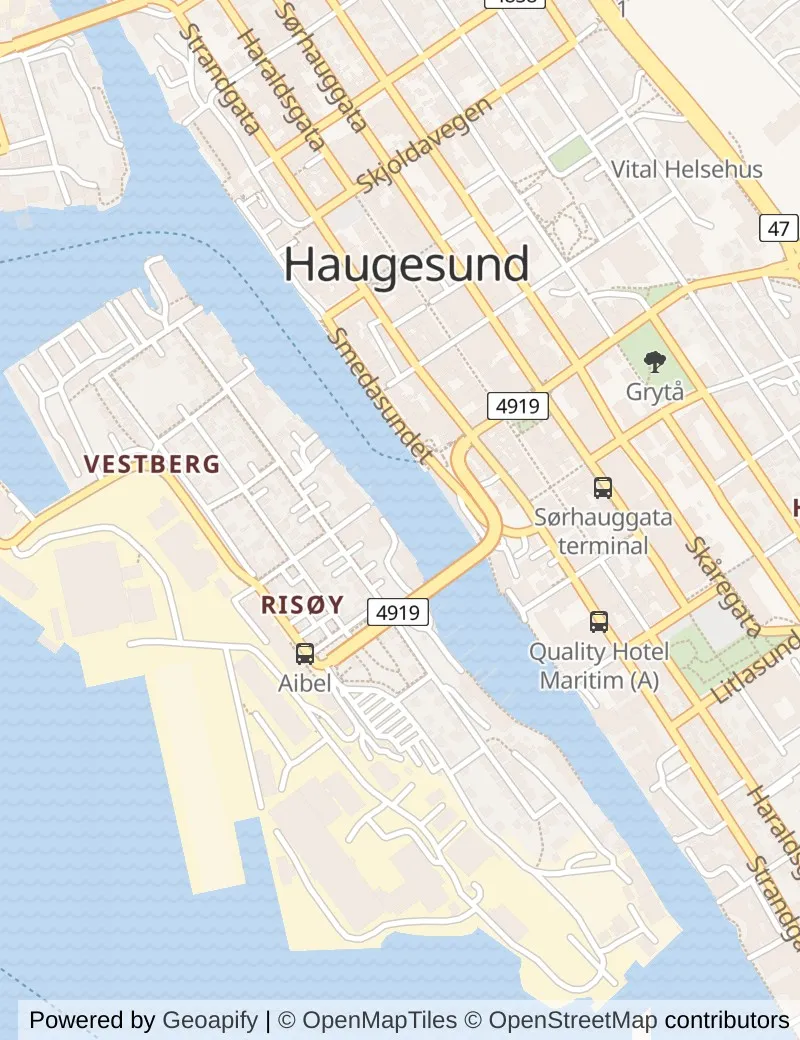 Street map of Haugesund, about half an hour's walk from side to side, with the cruise berth on it.
