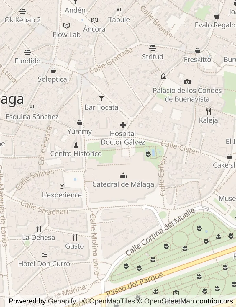 Closer street map of Malaga, about ten minutes' walk from side to side, showing the streets and what is on them.