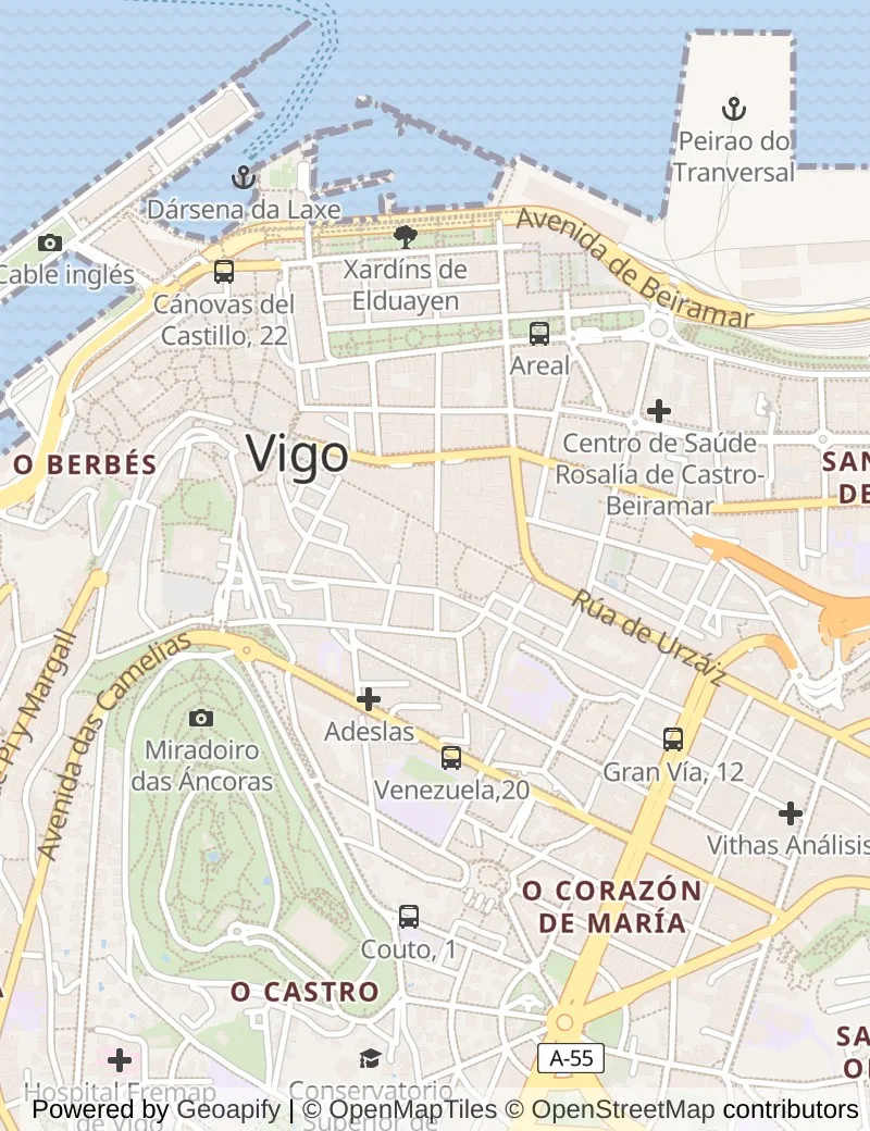 Street map of Vigo, about half an hour's walk from side to side, with the cruise berth on it.